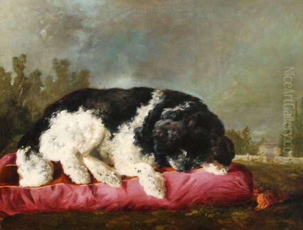 A Portrait Of The Artist's Dog Asleep On A Cushion Oil Painting by Francisco Domingo Marques