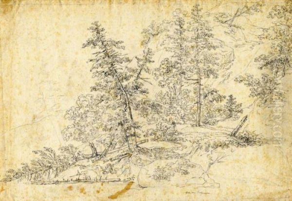 Rolled Lumber In Pine Forest Oil Painting by Johann Jakob Ii Dorner