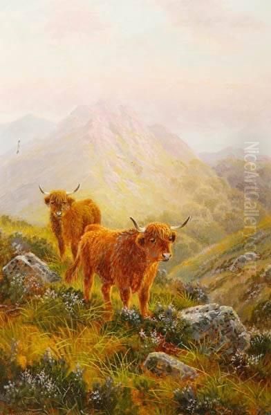 Shetland Cattle On Ben Nuish, Island Of Arran, Scotland Oil Painting by Albert Dunnington