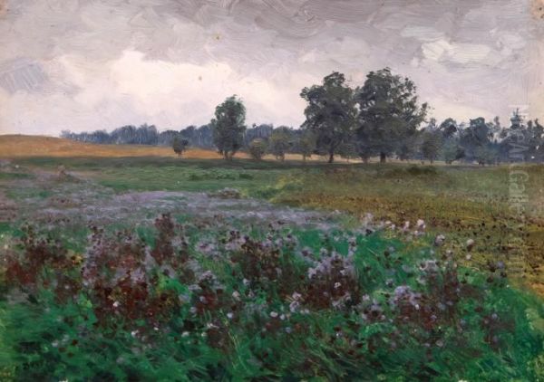 Wet Meadow Oil Painting by Bohuslav Dvorak