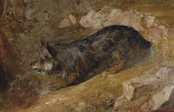 A Rabbiting Terrier Oil Painting by Thomas Faed