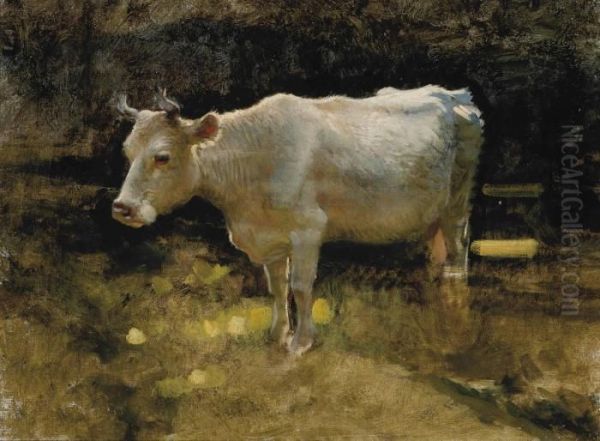 Study Of A Cow In A Meadow Oil Painting by Joseph Farquharson