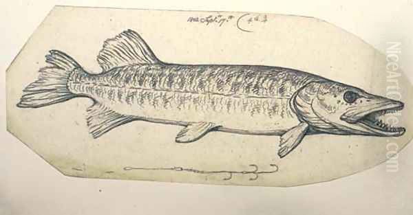 Study of a pike with fish hook Oil Painting by Benjamin West