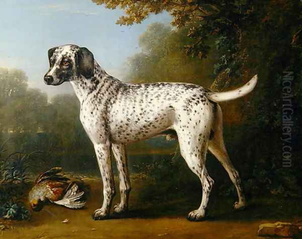 Grey spotted hound, 1738 Oil Painting by John Wootton