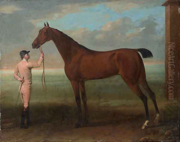 Coquette, a Bay Mare, held by a Groom, beside the King's Stables at Newmarket, near the Finish of the Beacon Course Oil Painting by John Wootton