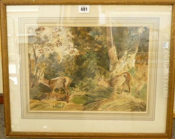 Deer In The Woods Oil Painting by Newton Fielding