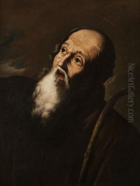 Sant'antonio Abate Oil Painting by Francesco Fracanzano