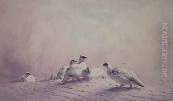 Ptarmigan, Winter, 1873 Oil Painting by Joseph Wolf