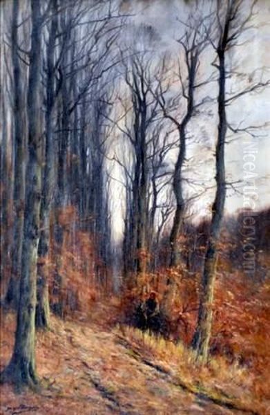 Sous-bois En Automne Oil Painting by Joseph Charles Francois