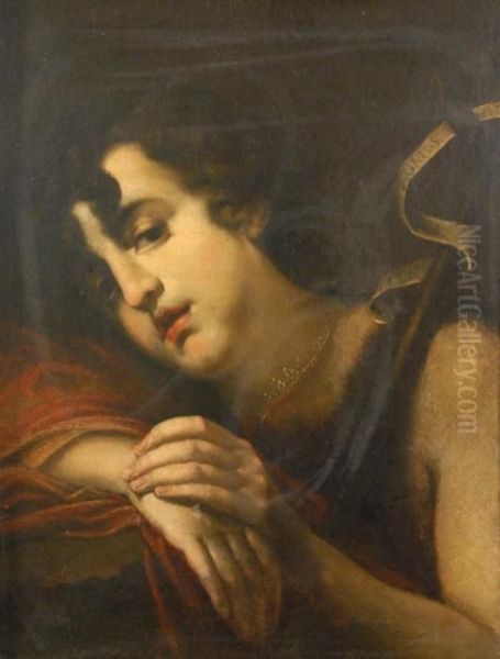 A Young John The Baptist Oil Painting by Francesco Furini