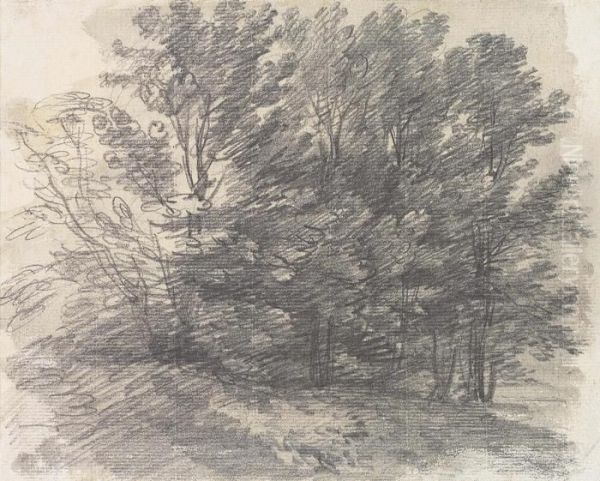 Gainsborough, R.a. A Clump Of Trees Numbered 'n 
O 
. 59' Pencil And Grey Wash On Paper 6Â¼ X 7 5/8 In Oil Painting by Thomas Gainsborough