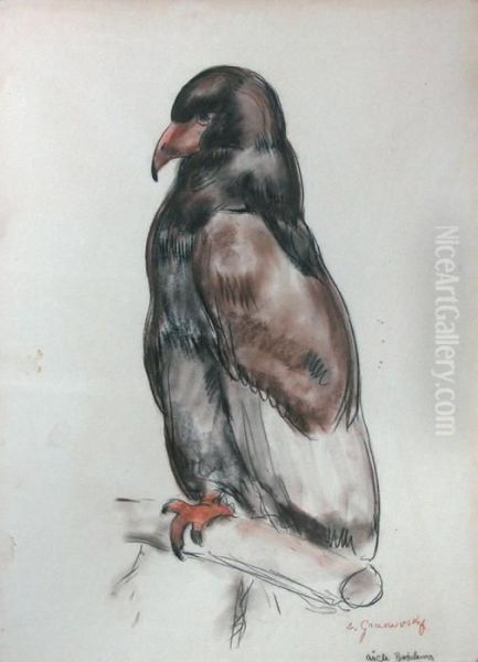 L'aigle Bateleur Oil Painting by Sam Granowsky