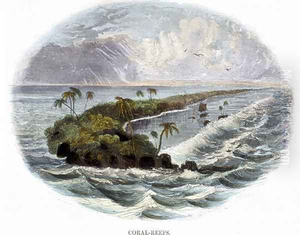 Coral-Reefs, from Phenomena of Nature, 1849 Oil Painting by Josiah Wood Whymper