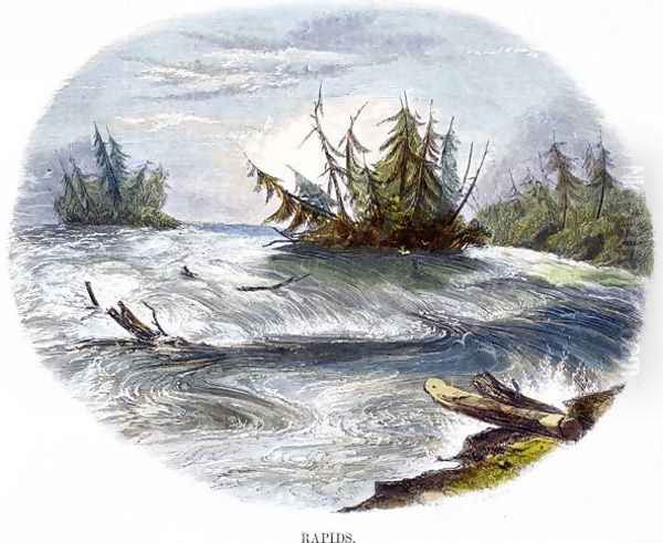 Rapids, from Phenomena of Nature, 1849 Oil Painting by Josiah Wood Whymper