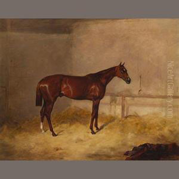 A Bay Hunter In A Barn Oil Painting by Harry Hall