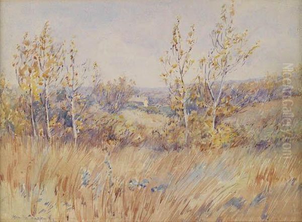 Spring Field Oil Painting by Hamilton Hamilton