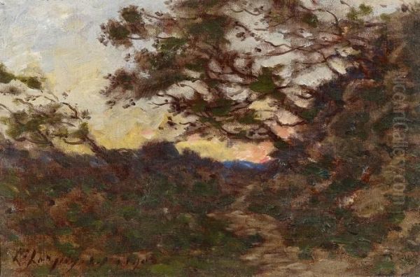 Le Sentier Sous Les Arbres - Coucher De Soleil