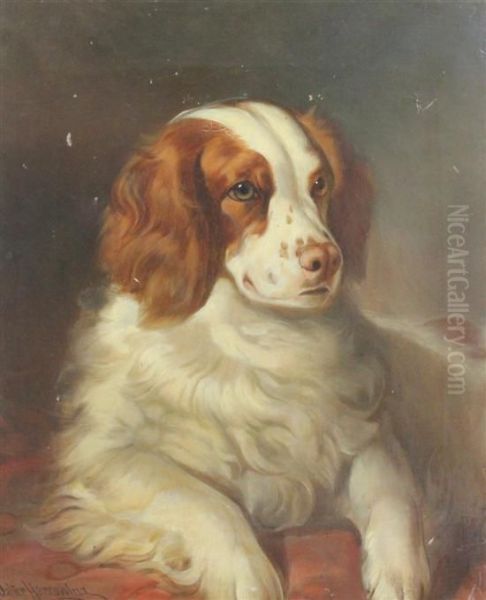 Portrait Of A Spaniel Billy Buss Oil Painting by Walter Harrowing