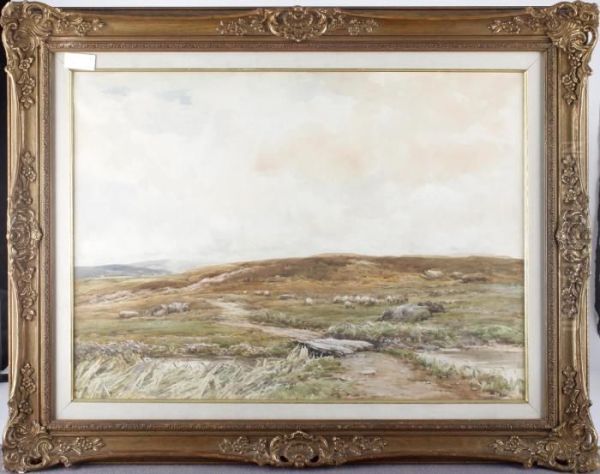 Moorland Scene With Sheep Grazing Oil Painting by Claude Hayes