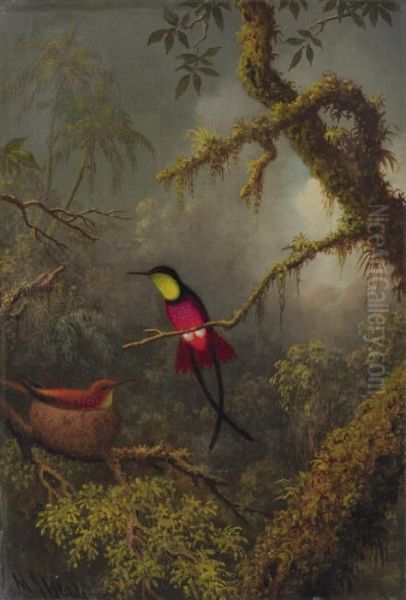 Nesting Crimson Topaz Hummingbirds Oil Painting by Martin Johnson Heade