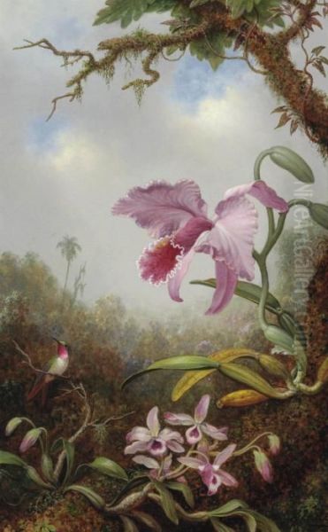 Hummingbird And Two Types Of Orchids Oil Painting by Martin Johnson Heade