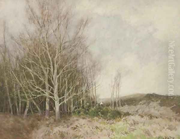 The sunlit copse Oil Painting by William Tatton Winter