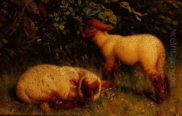 Lambs Oil Painting by William J. Webbe or Webb