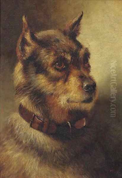 A border terrier Oil Painting by Herbert William Weekes