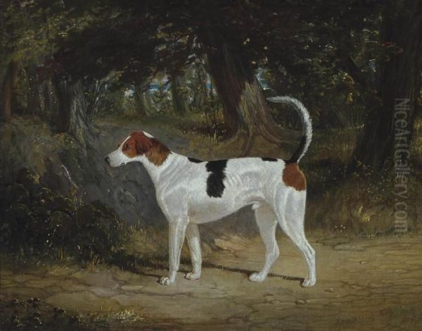 A Favourite Hound Oil Painting by John Frederick Herring Snr