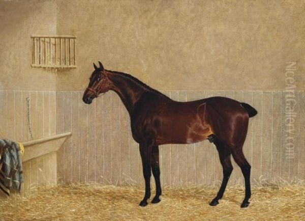 A Bay Racehorse In A Stable Oil Painting by John Frederick Herring Snr