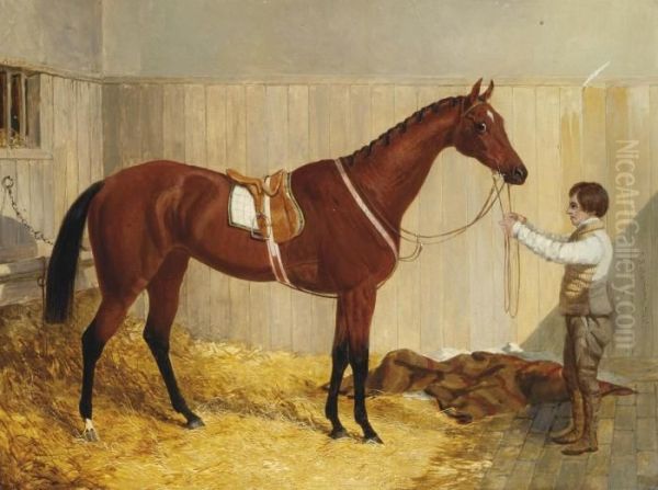 The Bay Racehorse Alice Hawthorn, Held By A Groom In Her Stable Oil Painting by John Frederick Herring Snr