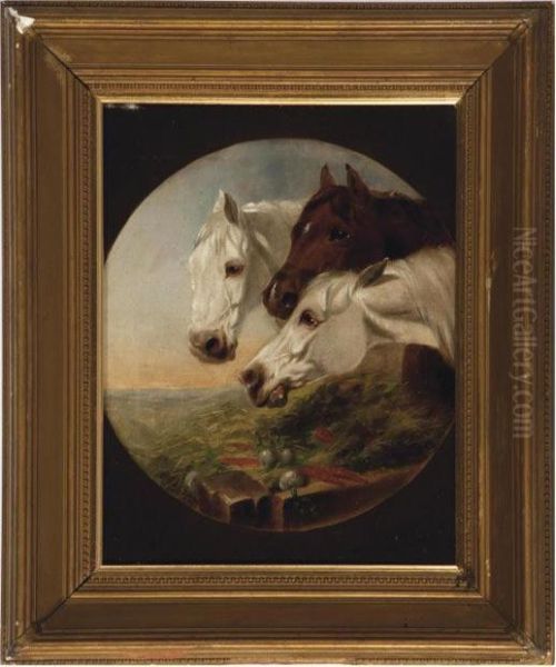 A Brown And Two Grey Horses At A Manger Oil Painting by John Frederick Herring Snr