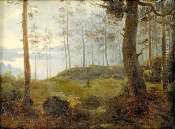 Furuskog Oil Painting by Carl Fredrik Hill