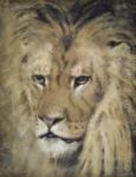 Study Of The Head Of A Lion Oil Painting by William Huggins