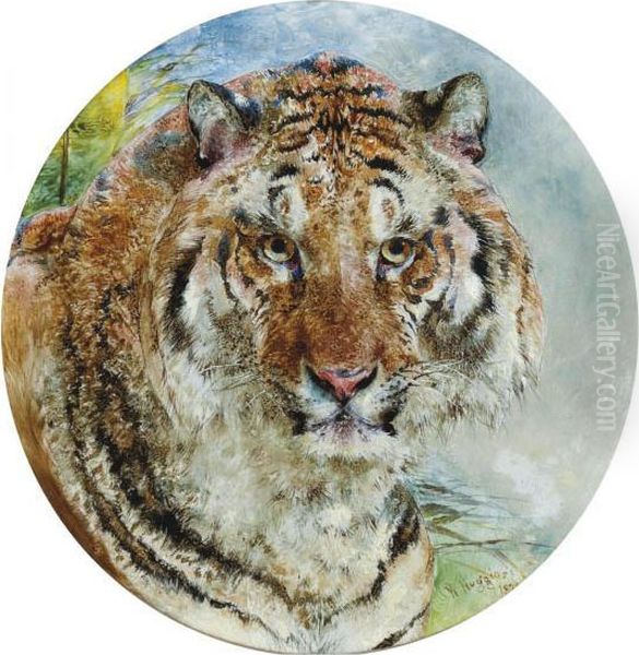 Head Of A Tiger Oil Painting by William Huggins