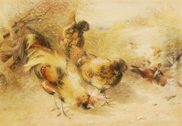 Chickens And Doves Oil Painting by William Huggins