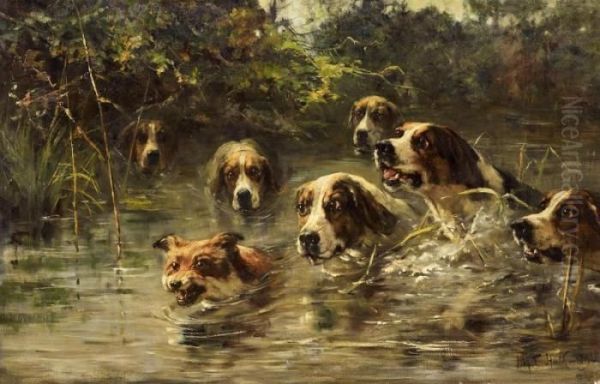 Hounds Chasing A Fox In The Water Oil Painting by John Frederick Ii Hulk