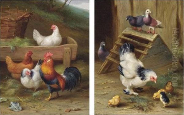 A Cockerel And His Hens Oil Painting by Edgar Hunt