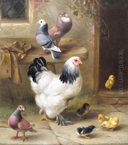 A Chicken And Chicks With Pigeons Oil Painting by Edgar Hunt