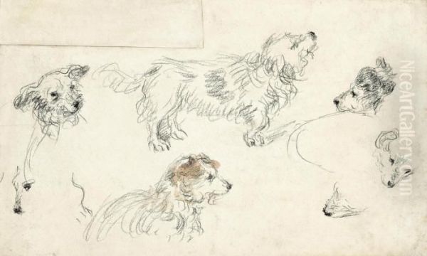 A Sheet Of Studies Of Dogs Oil Painting by William Henry Hunt