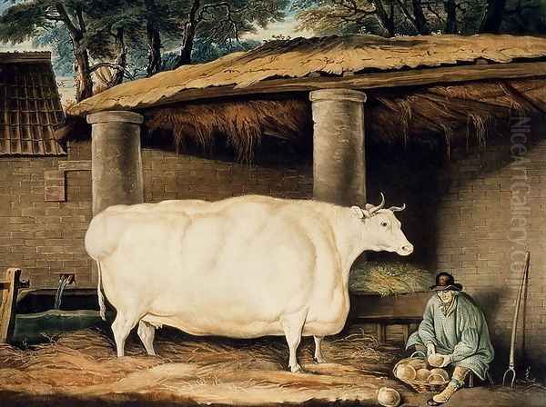 A Short Horned Heifer, engraved by William Ward, Dartington, 1811 Oil Painting by Thomas Weaver