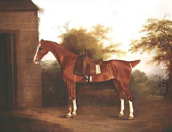 Horse with side saddle Oil Painting by Thomas Weaver