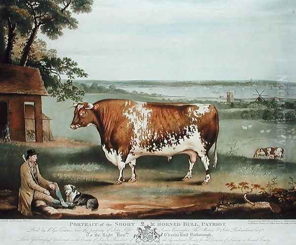 A Short Horned Bull, Patriot, engraved by William Ward, Shrewsbury, 1810 Oil Painting by Thomas Weaver