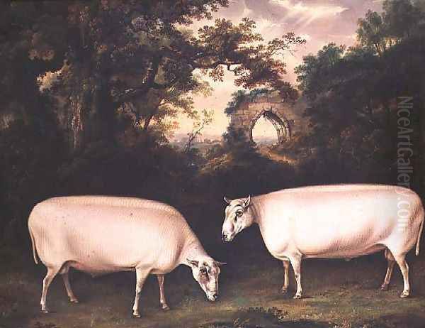 Two Prize Border Leicester Rams in a Landscape, 1800 Oil Painting by Thomas Weaver