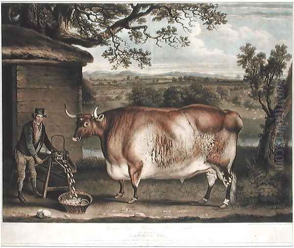 The Newbus Ox, engraved by W. Ward, 1812 Oil Painting by Thomas Weaver