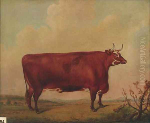 A horned Herefordshire cow Oil Painting by Thomas Weaver