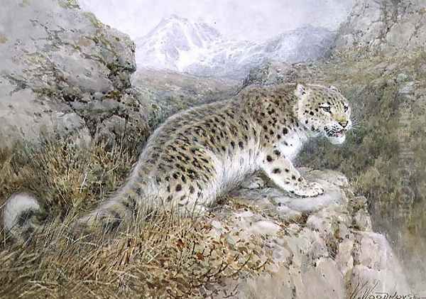 Snow Leopard, c.1920 Oil Painting by William Woodhouse