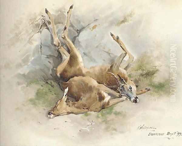 Dead Stags Oil Painting by William Woodhouse