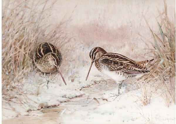 Snipe in snow Oil Painting by William Woodhouse