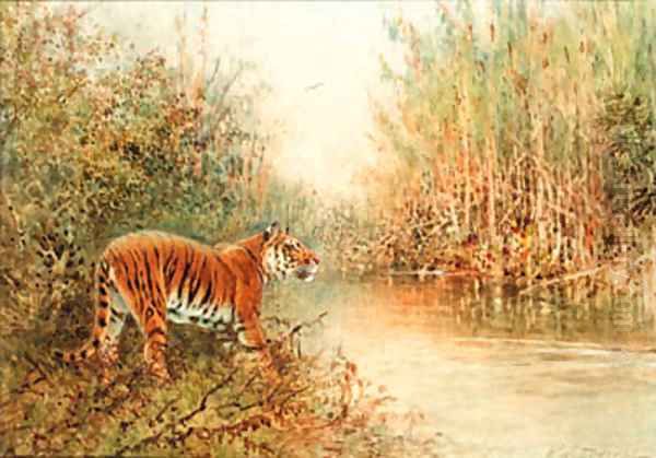 Tiger at the Water's Edge Oil Painting by William Woodhouse